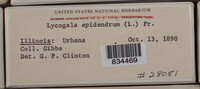 Image Associated With the Occurence